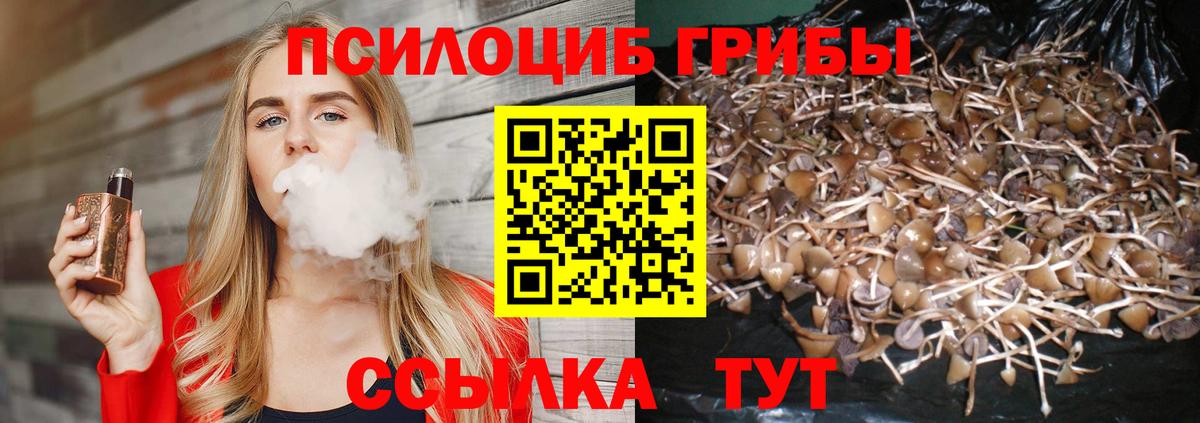 Псилоцибиновые грибы прущие грибы Якутск