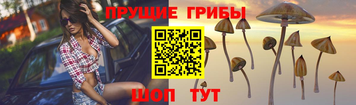 Якутск  Галлюциногенные грибы GOLDEN TEACHER  Вход с VPN  Псилоцибиновые грибы Psilocybine cubensis 